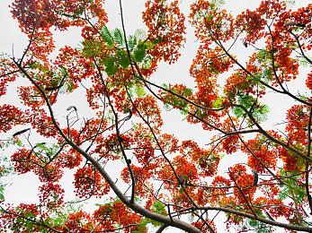 小清新机甲冒险《Stonefly》新演示3月31日发售