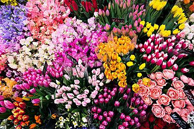 开放世界《索尼克：边境》可在30小时内通关