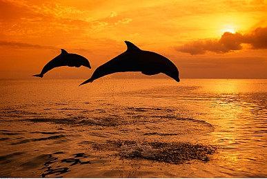 模拟类Roguelite类RPG游戏《啵啵鸡物语》Steam页面上线 支持简中